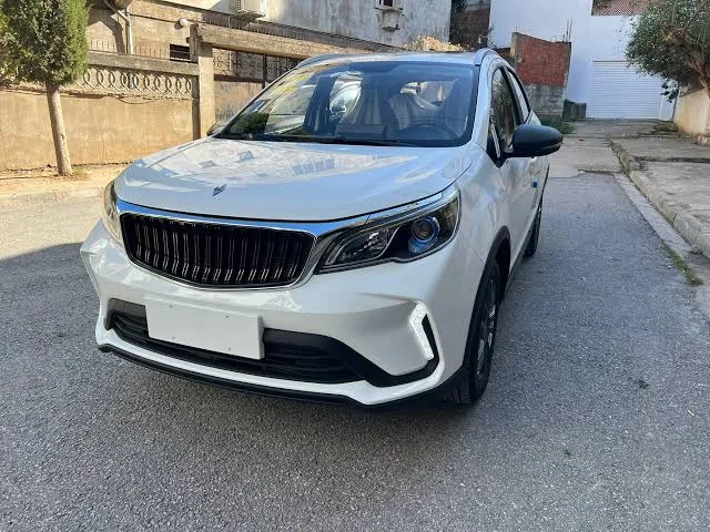 livan Auto blanc